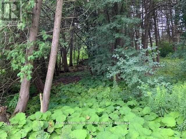 Lt 19 Rue Karola, Tiny, Ontario  L0L 2J0 - Photo 3 - S13693838