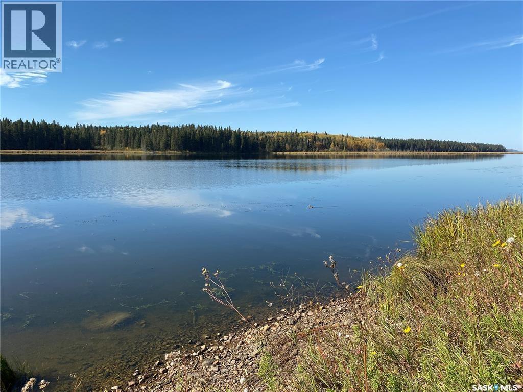 340 Johnson Avenue, Big River, Saskatchewan  S0J 0E0 - Photo 4 - SK044545
