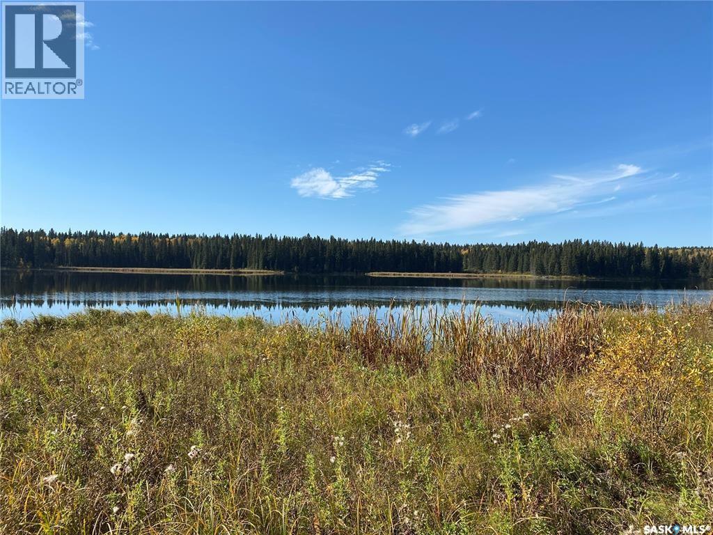 340 Johnson Avenue, Big River, Saskatchewan  S0J 0E0 - Photo 55 - SK044545