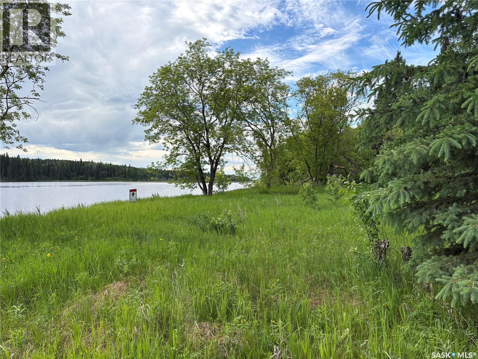 340 Johnson Avenue, Big River, Saskatchewan  S0J 0E0 - Photo 50 - SK044545