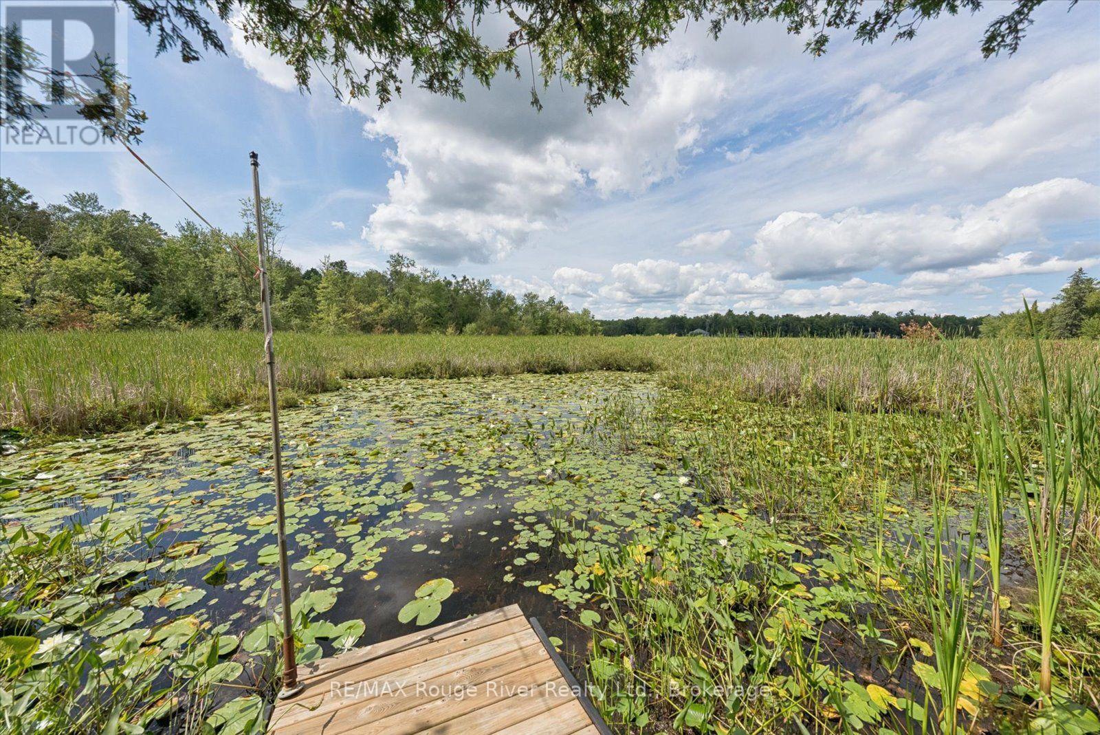 178 Roma Lane, Stirling-Rawdon, Ontario  K0K 2M0 - Photo 32 - X13691698