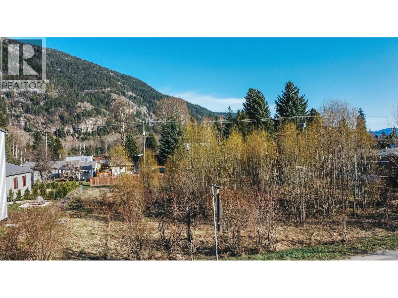 Parcel F Railway Avenue, Salmo, British Columbia  V0G 1Z0 - Photo 10 - 10398189