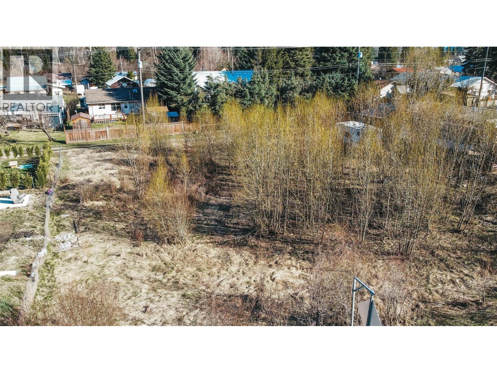 Parcel F Railway Avenue, Salmo, British Columbia  V0G 1Z0 - Photo 11 - 10398189