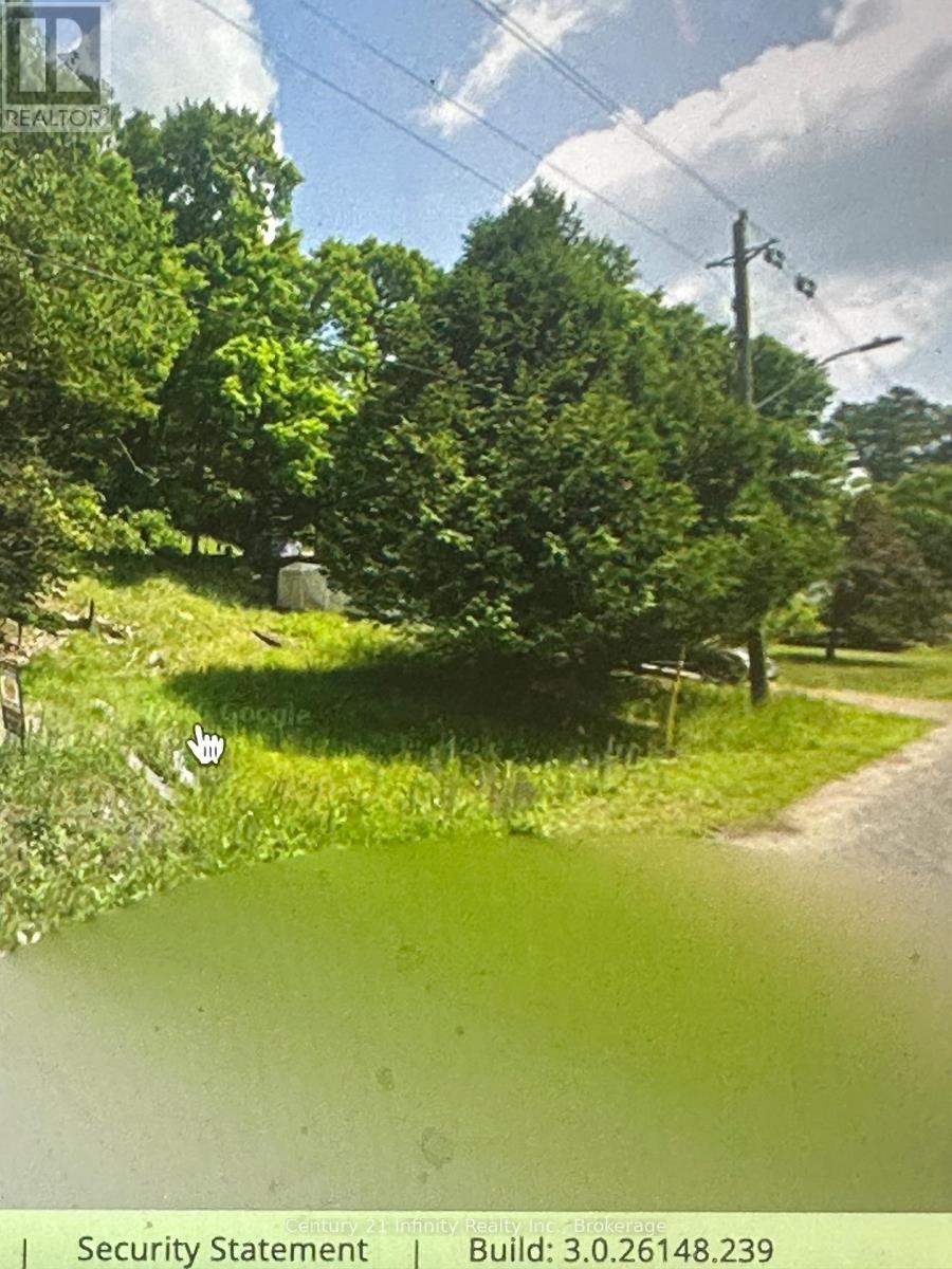 0 Park Street, Dysart Et Al, Ontario  K0M 1S0 - Photo 22 - X13476268