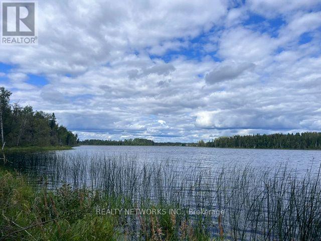 Lot 23 Concession 11 Road, Cochrane, Ontario  P0L 1C0 - Photo 3 - T13694108