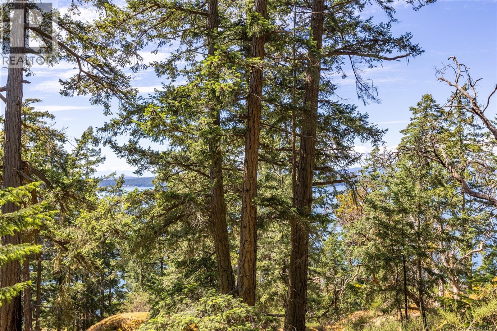 4848 Cutlass Crt, Pender Island, British Columbia  V0N 2M2 - Photo 11 - 1047273