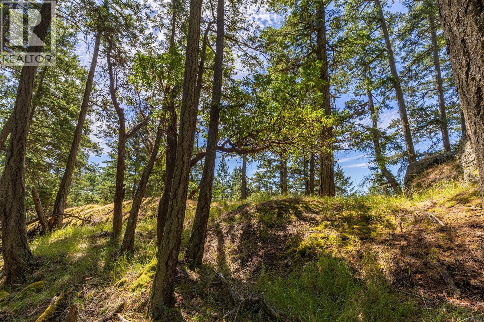 4848 Cutlass Crt, Pender Island, British Columbia  V0N 2M2 - Photo 13 - 1047273