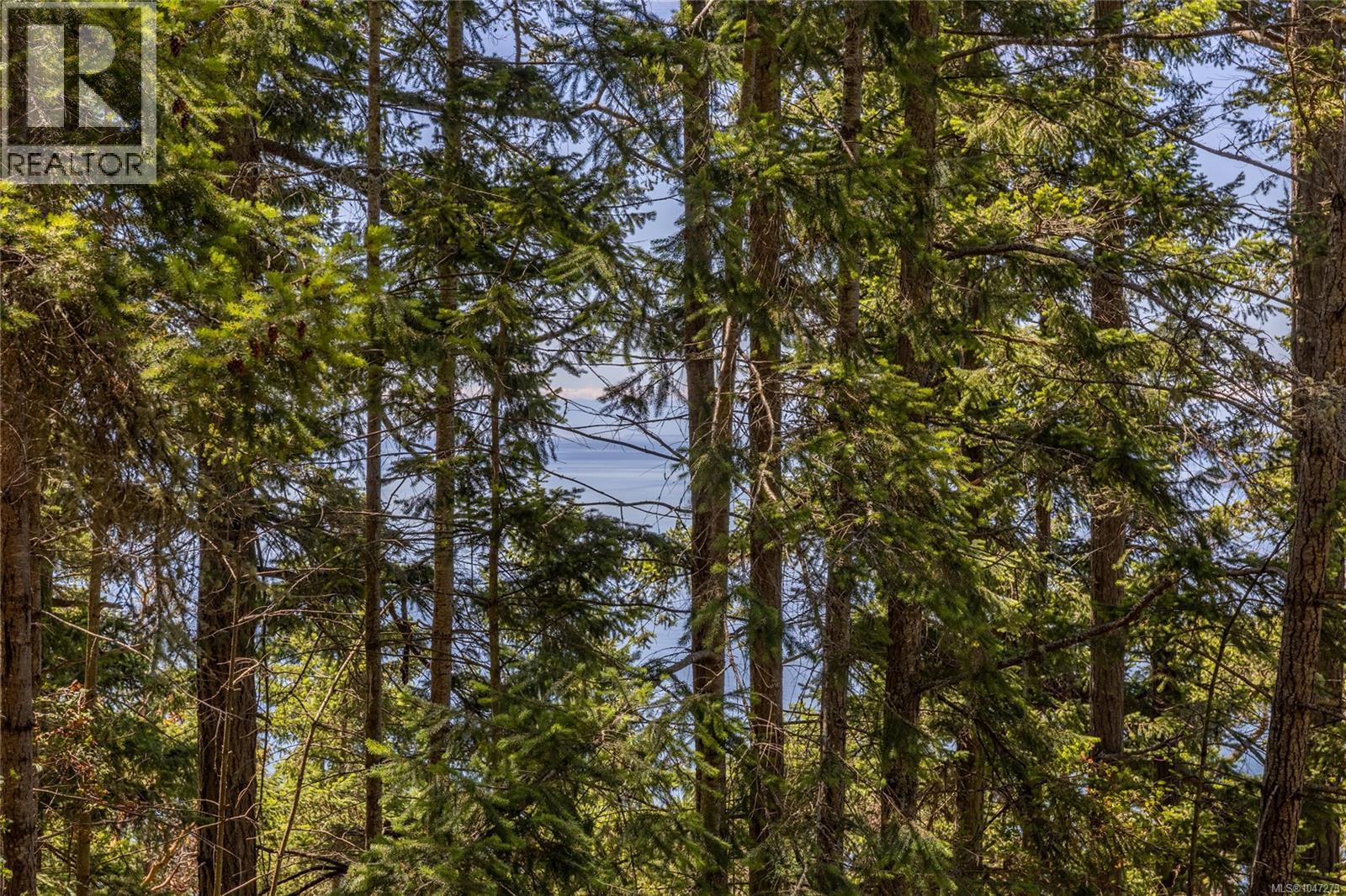 4848 Cutlass Crt, Pender Island, British Columbia  V0N 2M2 - Photo 19 - 1047273