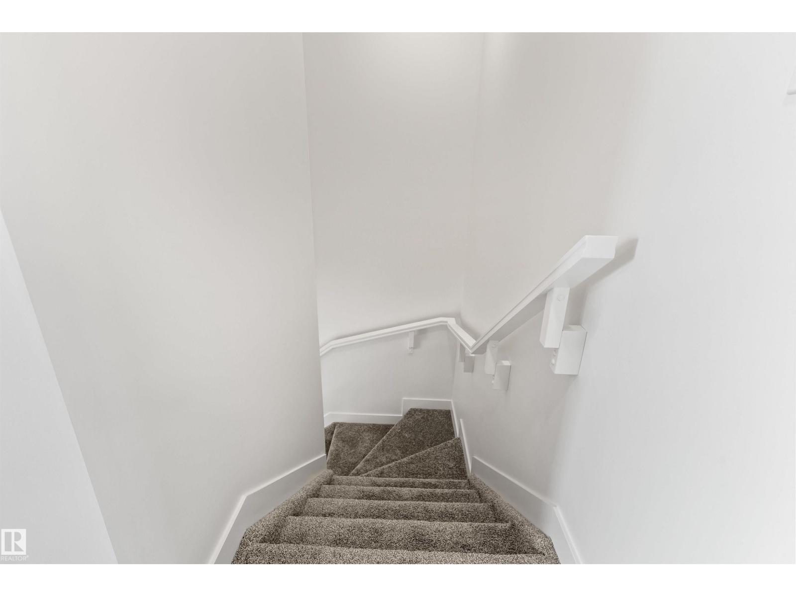 1012 14 Av NW, Edmonton, Alberta  T6T 2W8 - Photo 19 - E4504596