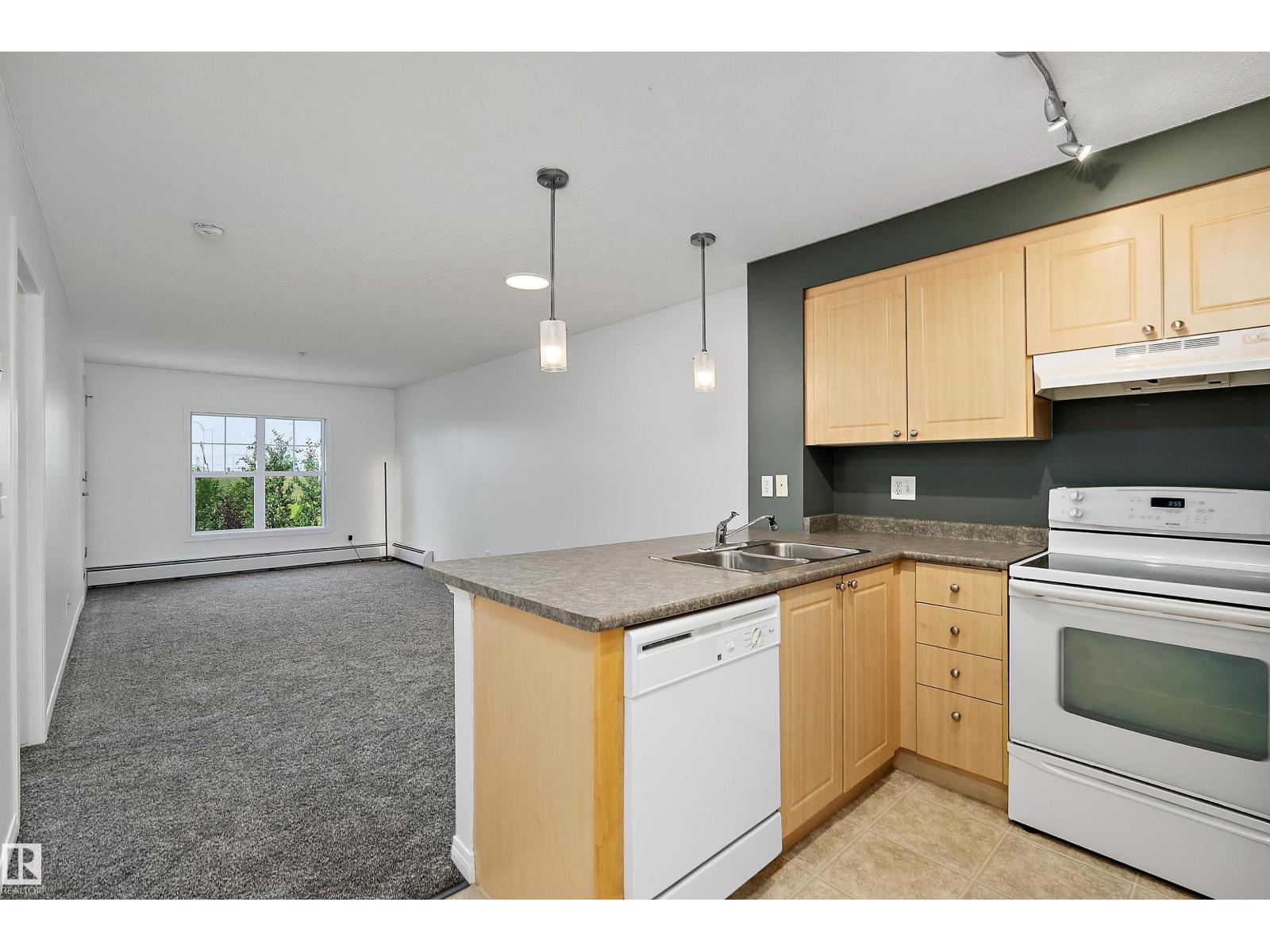 #316 636 Mcallister Lo SW, Edmonton, Alberta  T6W 1N4 - Photo 5 - E4504595