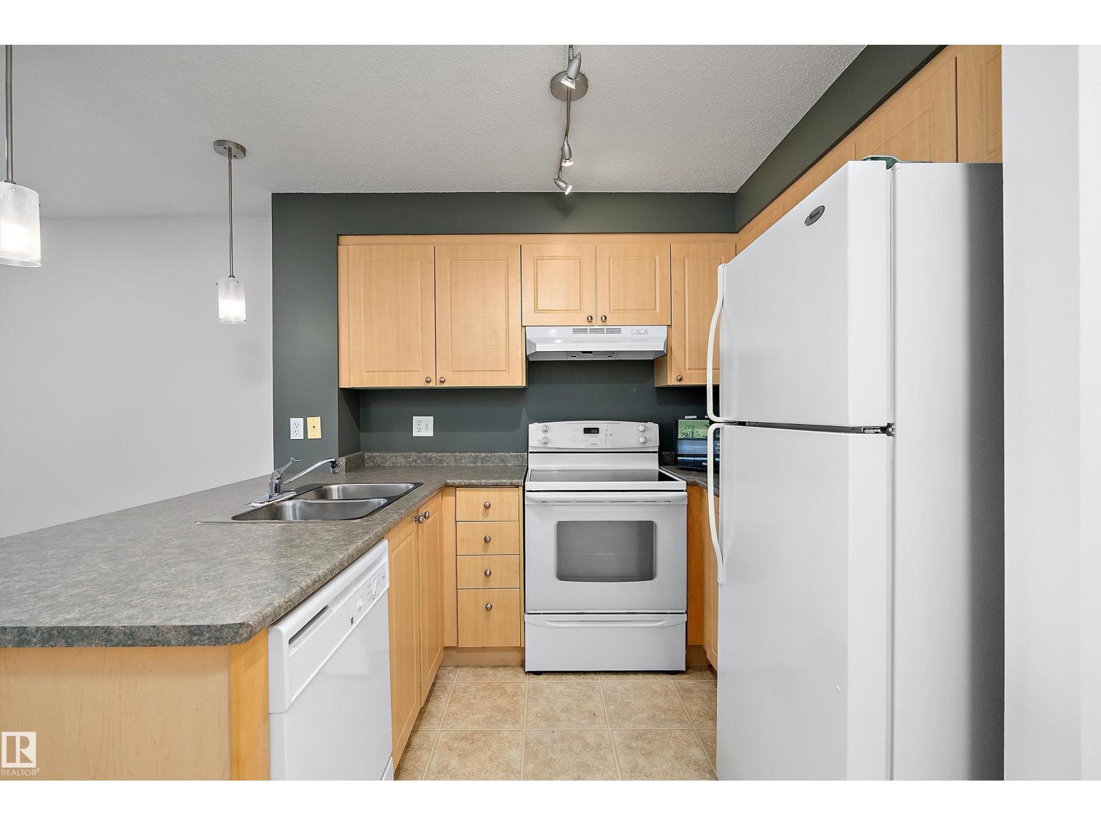 #316 636 Mcallister Lo SW, Edmonton, Alberta  T6W 1N4 - Photo 6 - E4504595