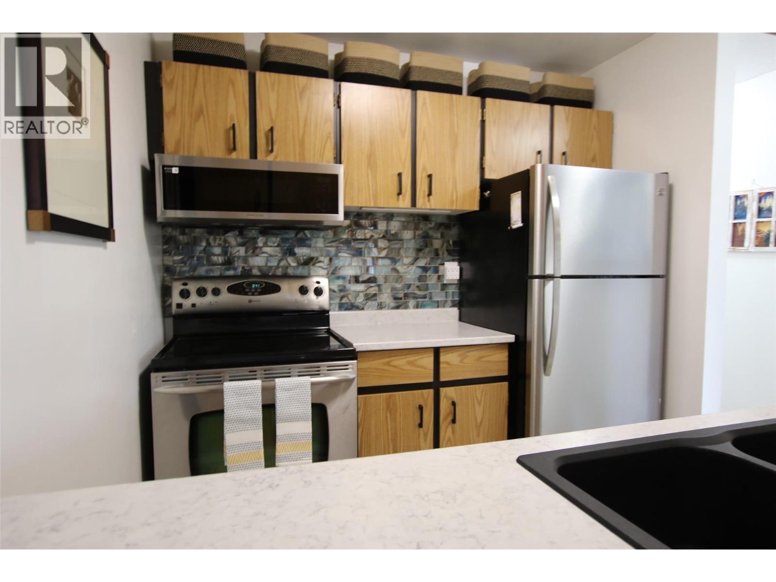 185 Chamberlain Crescent Unit# 310, Tumbler Ridge, British Columbia  V0C 2W0 - Photo 4 - 10392072