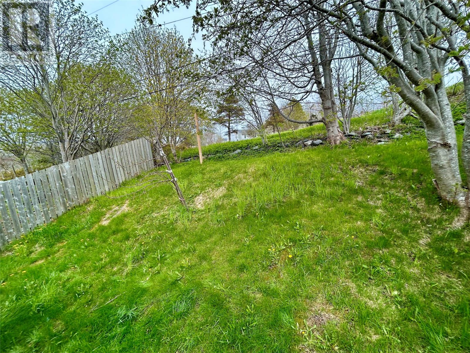 34 Graves Street, St. John's, Newfoundland & Labrador  A1B 3C5 - Photo 24 - 1301105