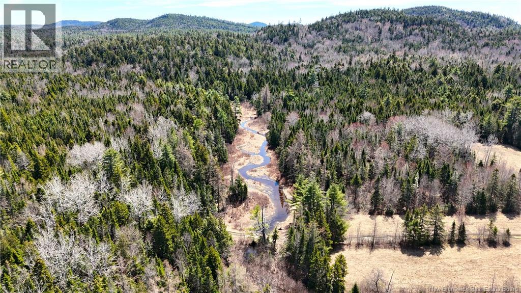2969 Route 127, Bayside, New Brunswick  E5B 2S3 - Photo 31 - NB138023