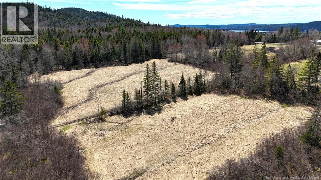 2969 Route 127, Bayside, New Brunswick  E5B 2S3 - Photo 37 - NB138023