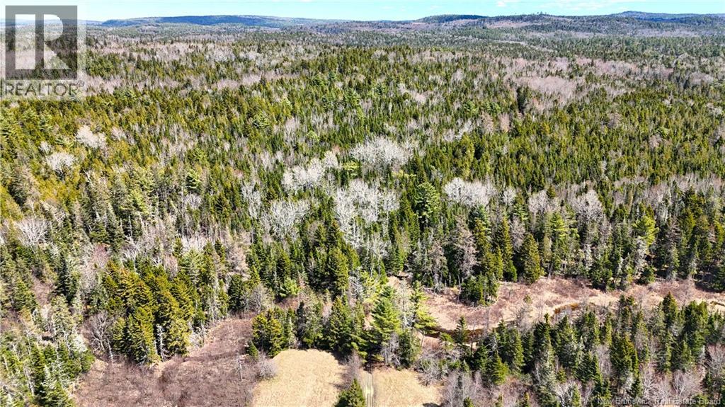2969 Route 127, Bayside, New Brunswick  E5B 2S3 - Photo 30 - NB138023
