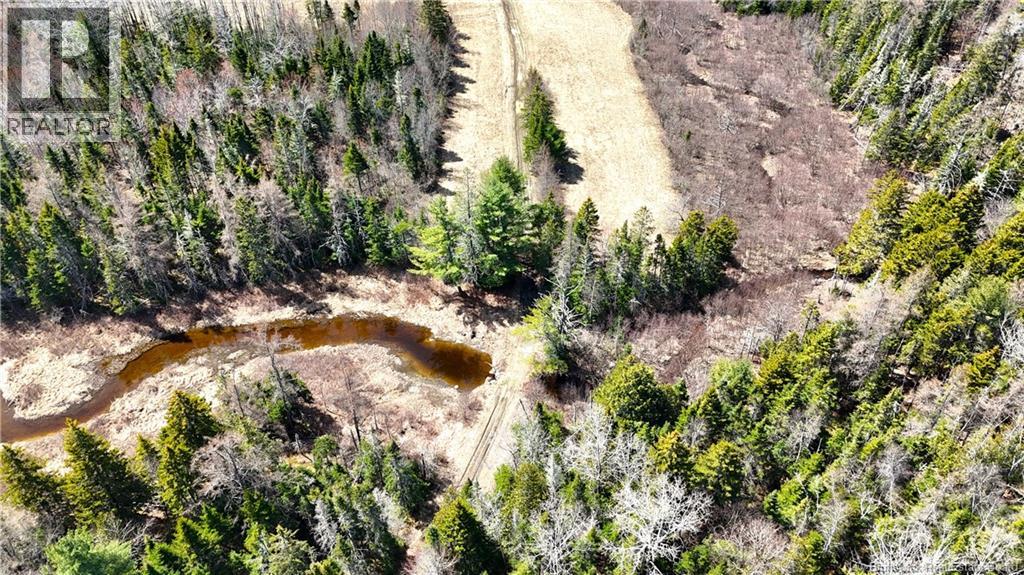 2969 Route 127, Bayside, New Brunswick  E5B 2S3 - Photo 33 - NB138023