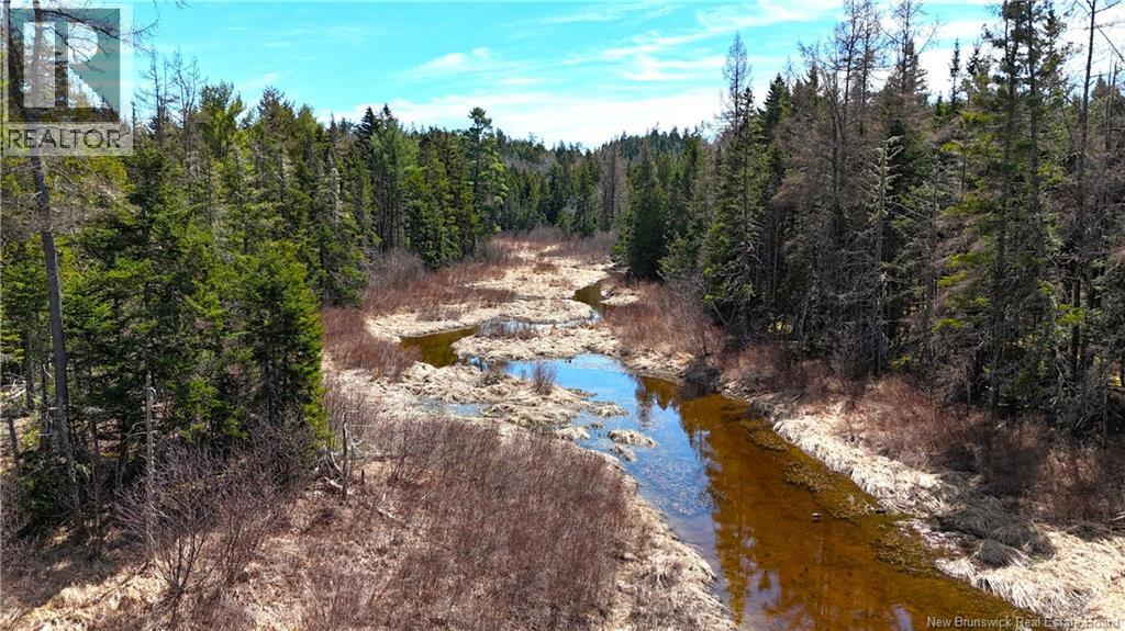 2969 Route 127, Bayside, New Brunswick  E5B 2S3 - Photo 34 - NB138023