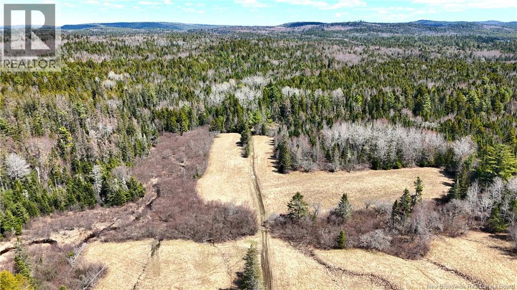 2969 Route 127, Bayside, New Brunswick  E5B 2S3 - Photo 29 - NB138023