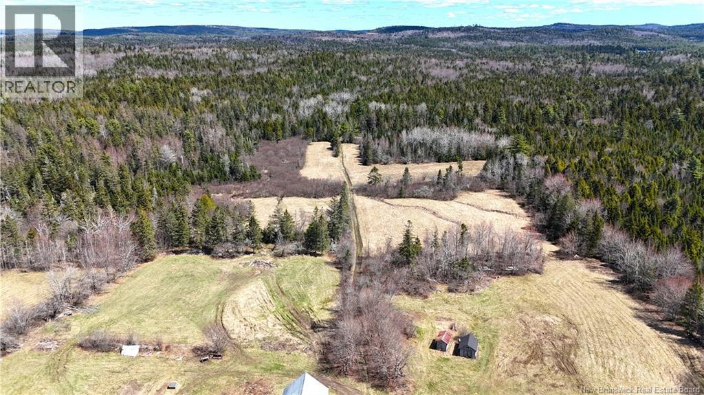 2969 Route 127, Bayside, New Brunswick  E5B 2S3 - Photo 28 - NB138023