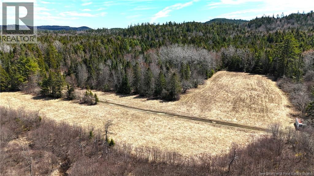 2969 Route 127, Bayside, New Brunswick  E5B 2S3 - Photo 36 - NB138023