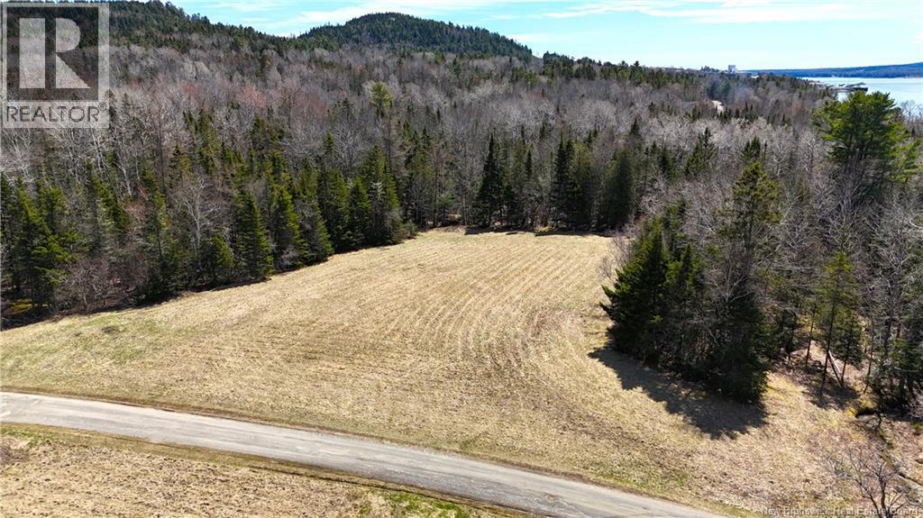 2969 Route 127, Bayside, New Brunswick  E5B 2S3 - Photo 21 - NB138023