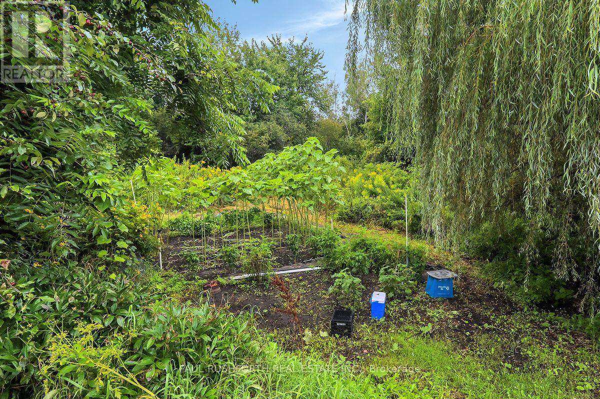 12764 Boyne Road, North Dundas, Ontario  K0C 1H0 - Photo 39 - X13533406
