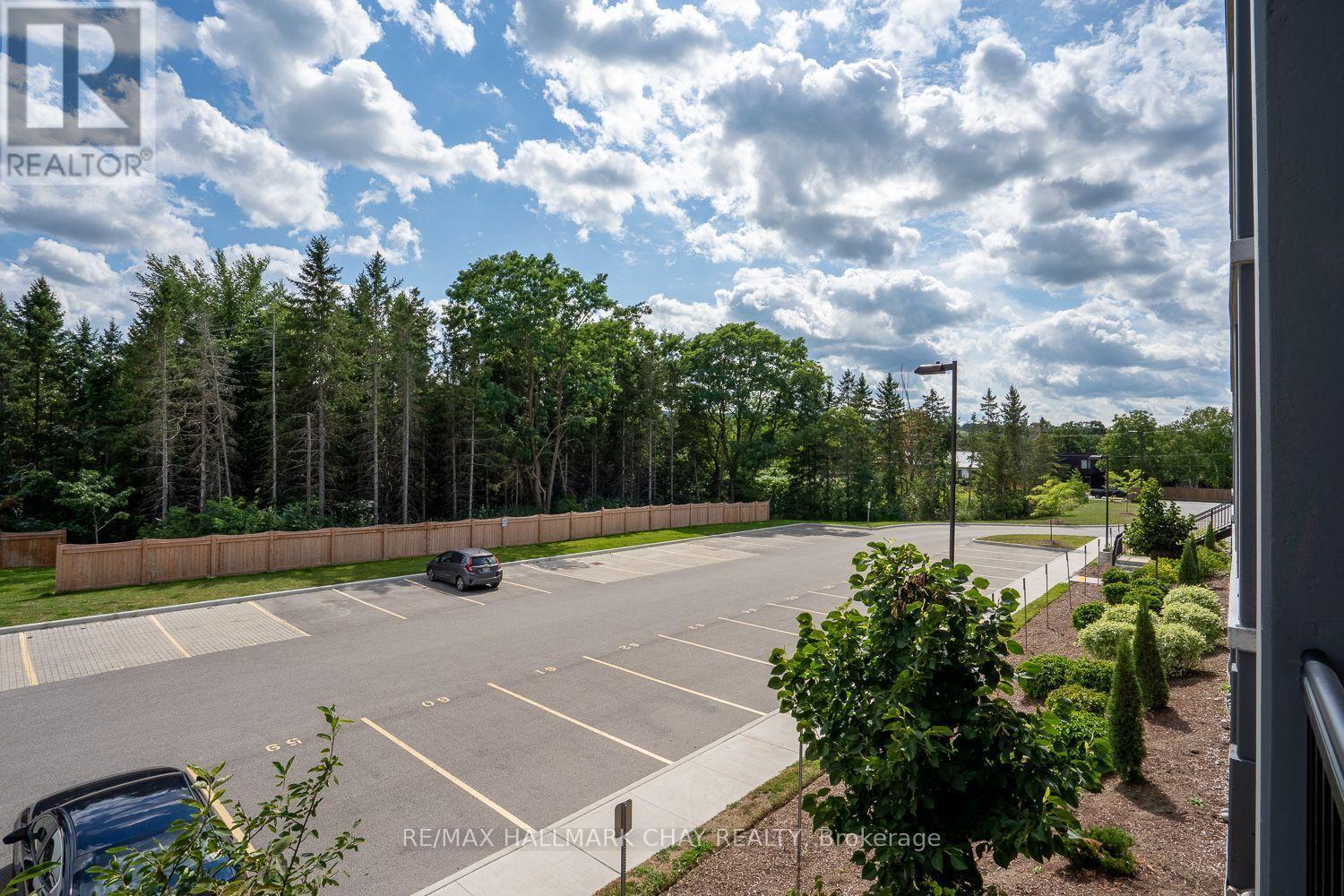 203 - 121 Mary Street, Clearview, Ontario  L0M 1G0 - Photo 5 - S13694574