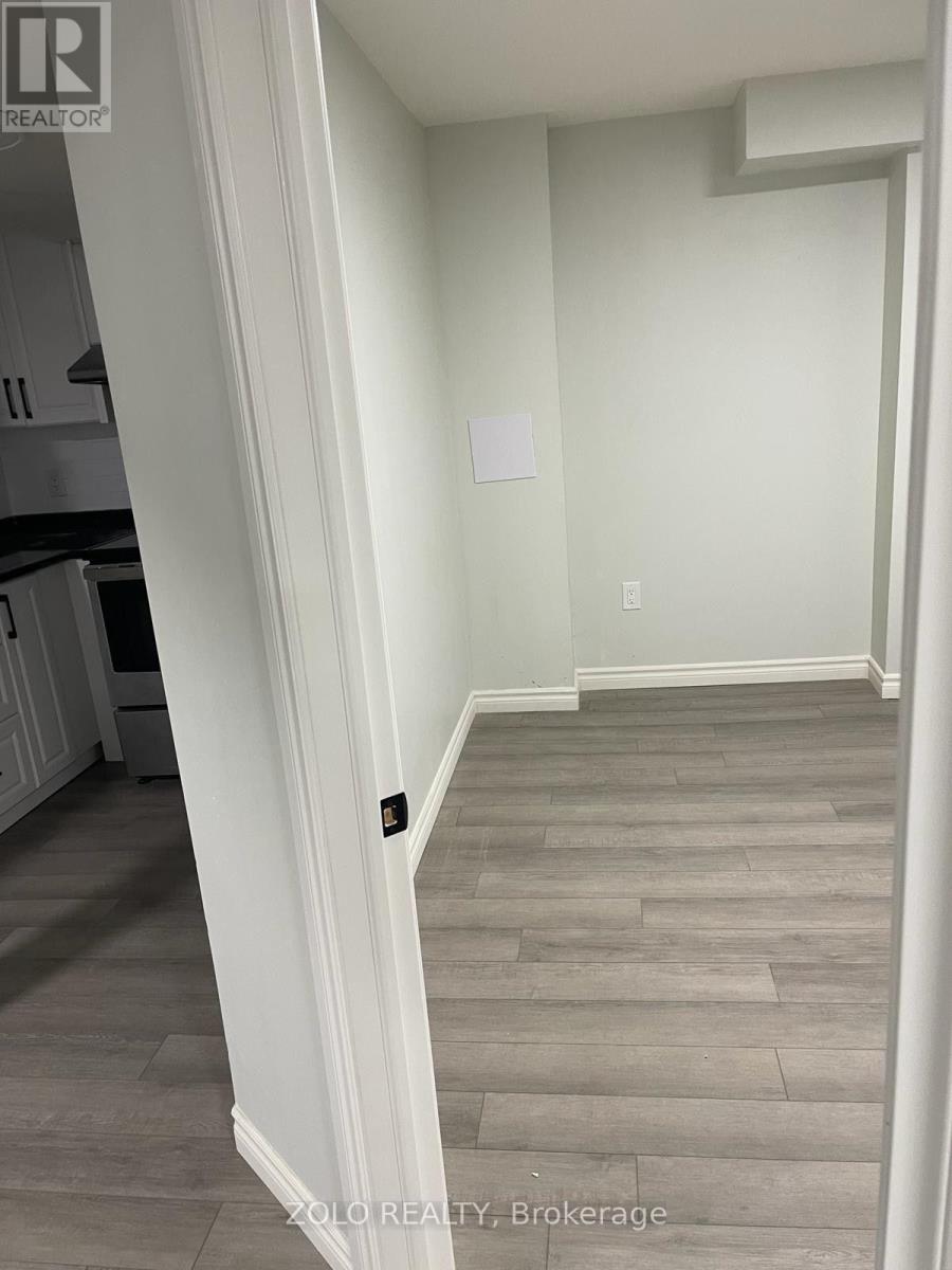Basement - 266 Brigadoon Drive, Hamilton, Ontario  L9C 0B5 - Photo 2 - X13694616