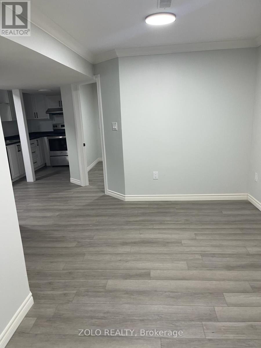 Basement - 266 Brigadoon Drive, Hamilton, Ontario  L9C 0B5 - Photo 4 - X13694616