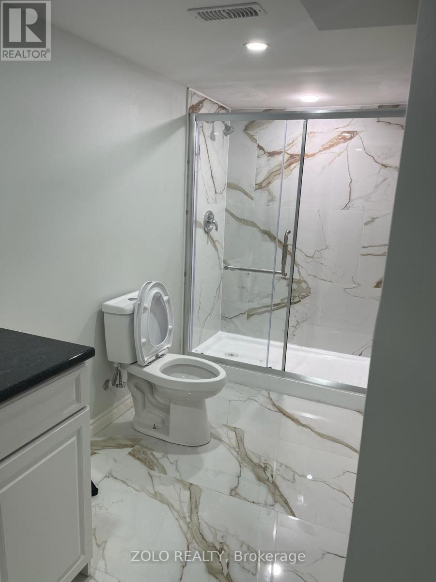 Basement - 266 Brigadoon Drive, Hamilton, Ontario  L9C 0B5 - Photo 5 - X13694616