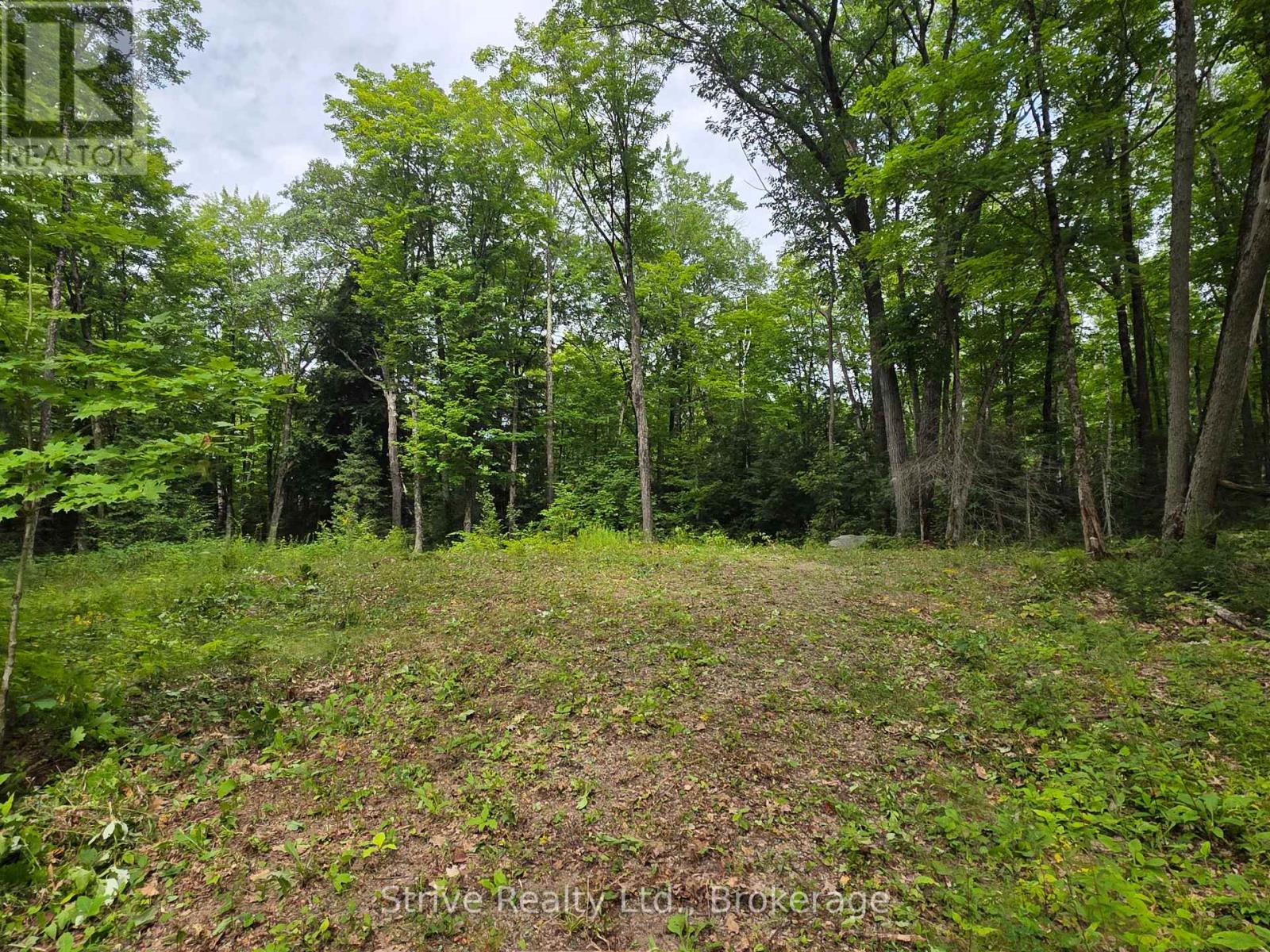 1303 Whites Road, Frontenac, Ontario  K0H 1B0 - Photo 9 - X13694646