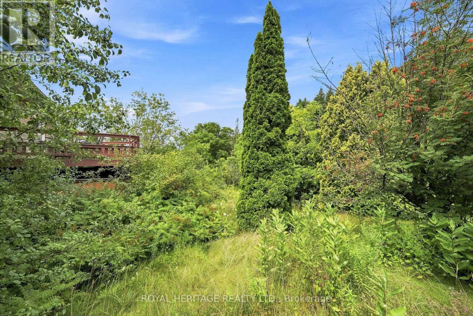 19a Park Street E, Cramahe, Ontario  K0K 1S0 - Photo 43 - X13694680