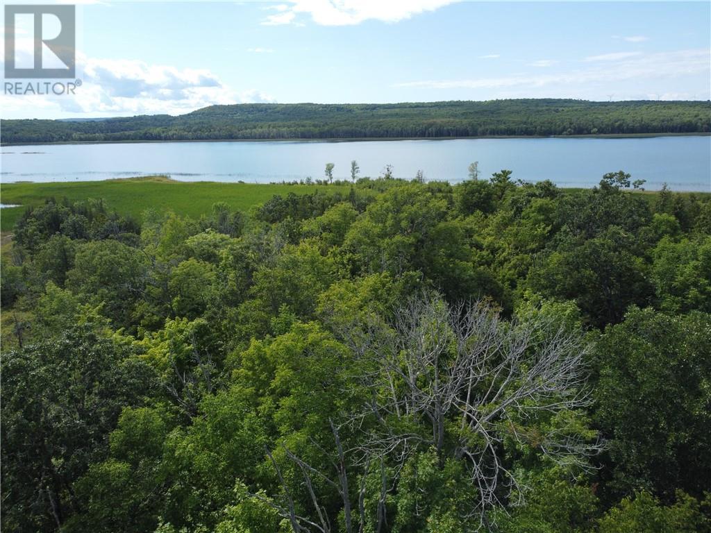 West Portion Snake Island, Little Current, Ontario  P0P 1K0 - Photo 20 - 2129846