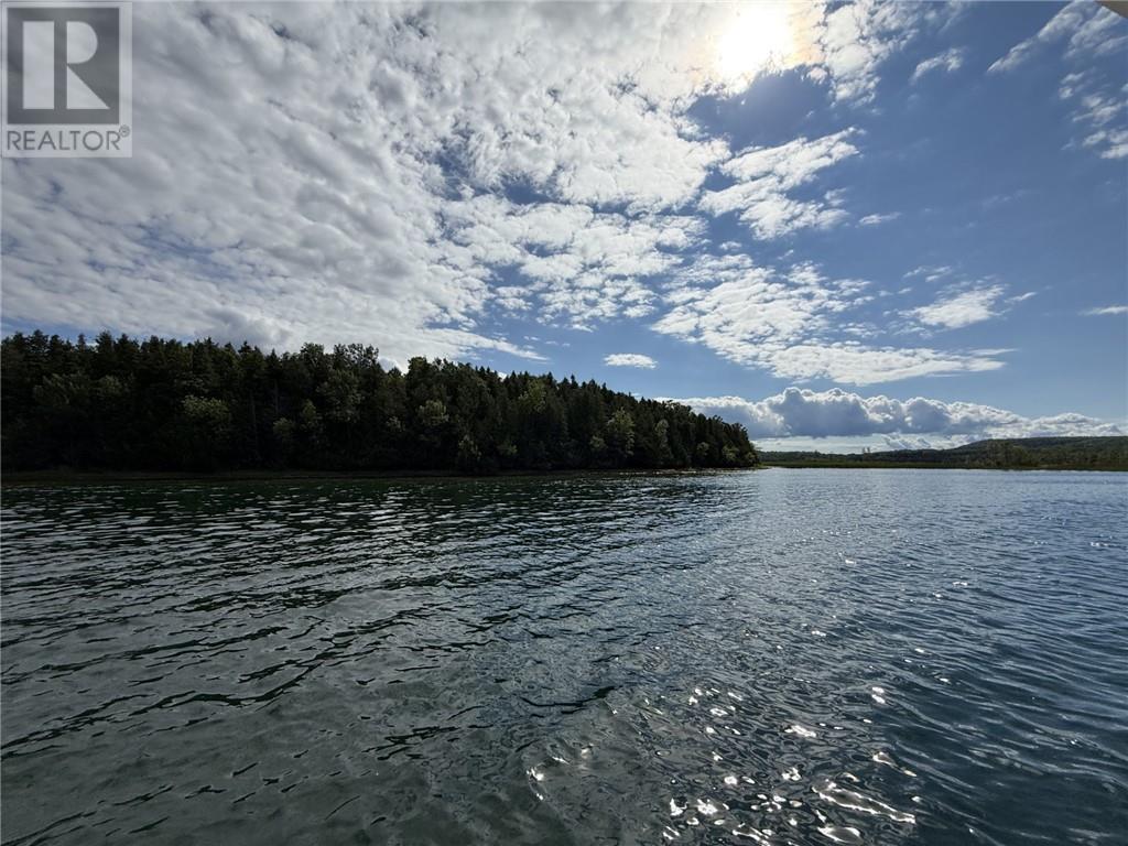 West Portion Snake Island, Little Current, Ontario  P0P 1K0 - Photo 30 - 2129846