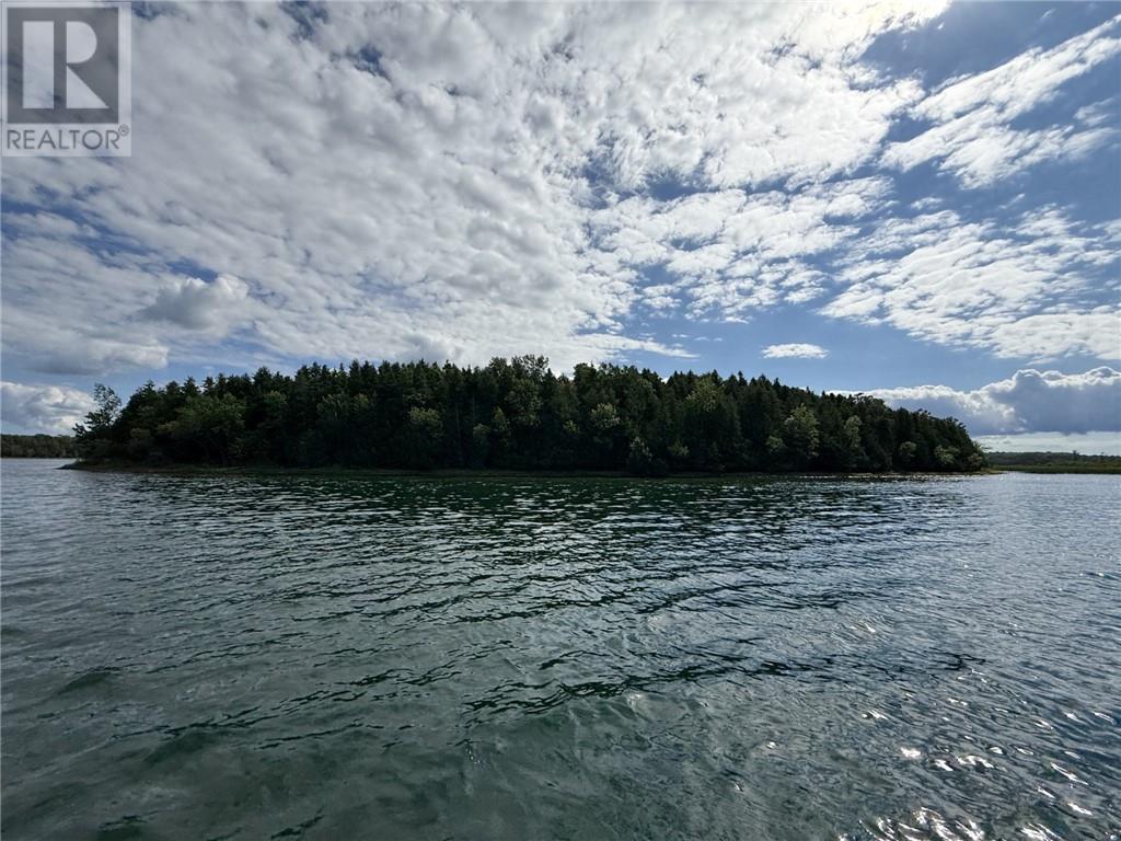 West Portion Snake Island, Little Current, Ontario  P0P 1K0 - Photo 31 - 2129846