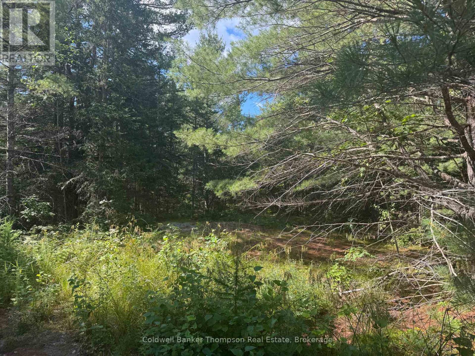 $39,9000 0, Magnetawan, Ontario