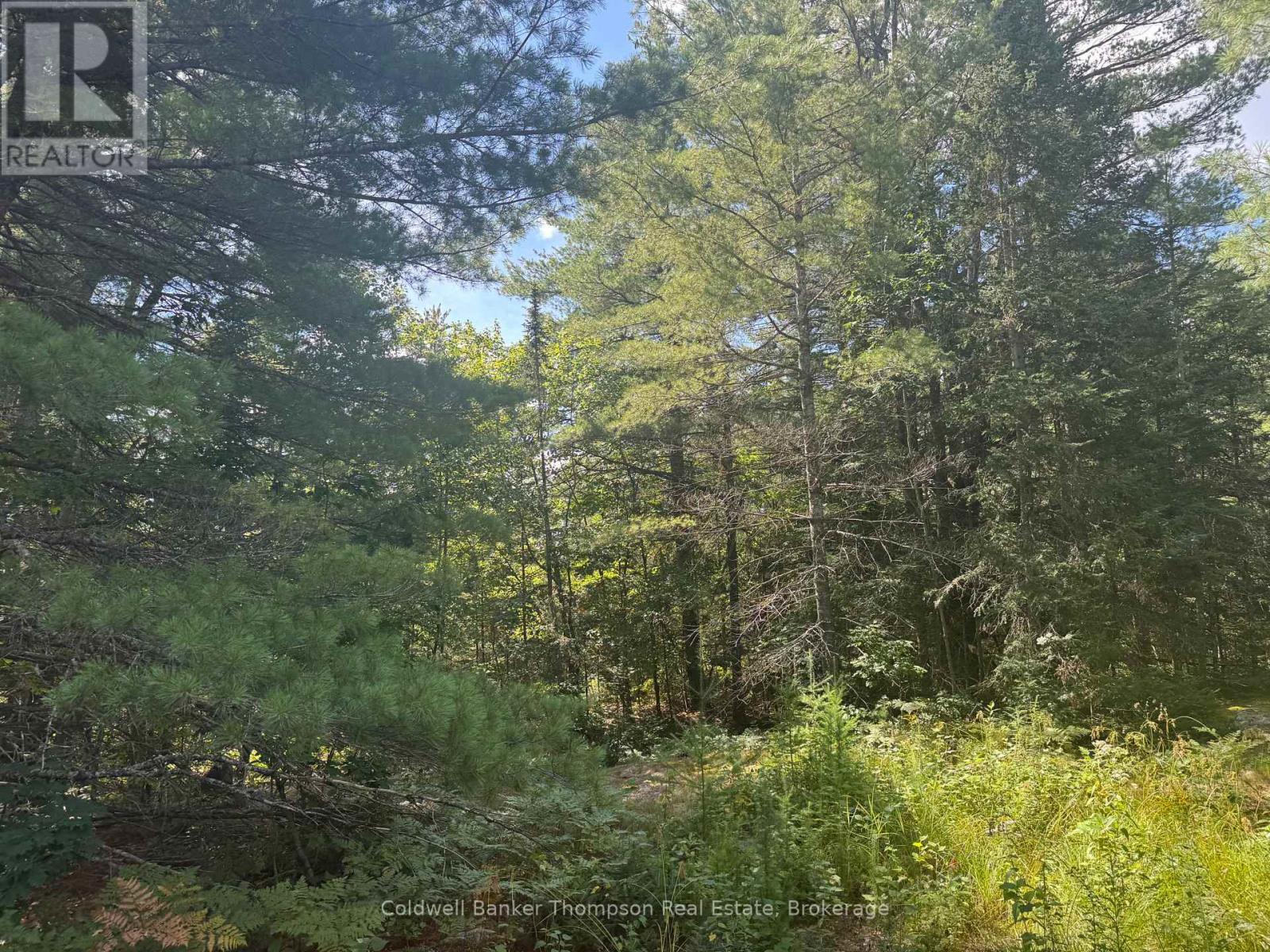 0 0, Magnetawan, Ontario P0A 1P0 - Photo 2 - X13694826