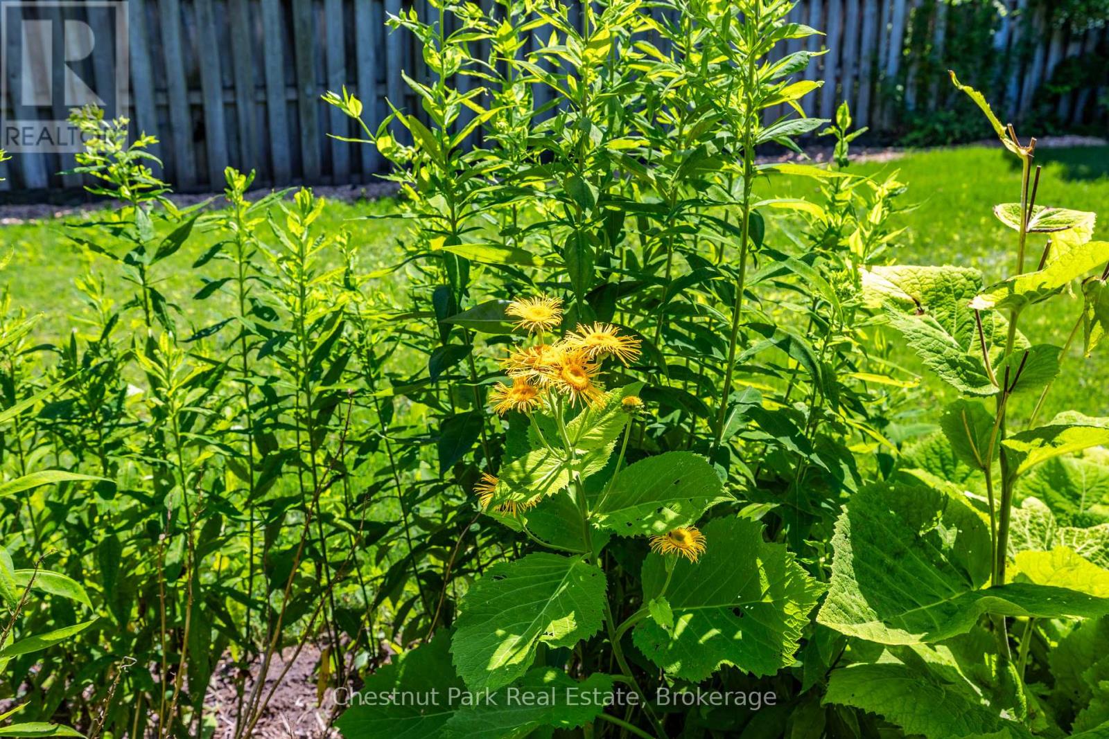 755 4th Avenue E, Owen Sound, Ontario  N4K 2N5 - Photo 42 - X13694934
