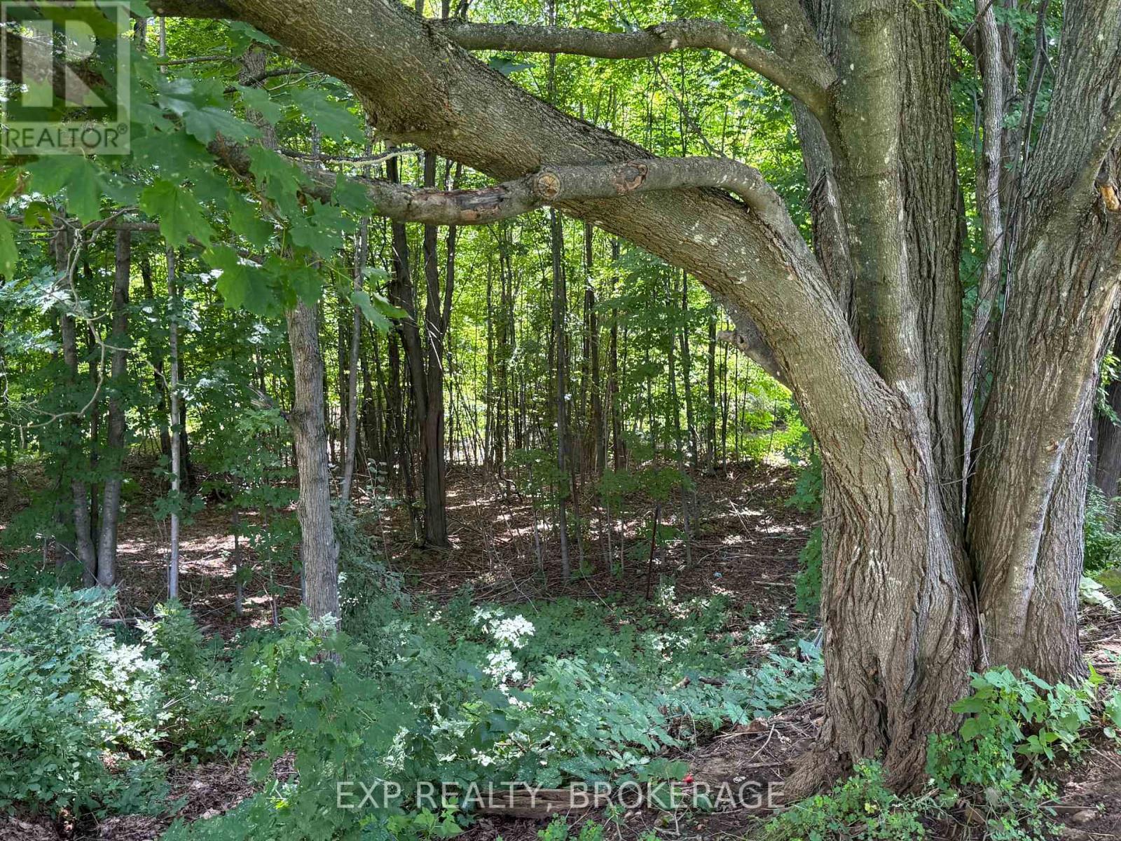 14544 Road 38 Road, Central Frontenac, Ontario  K0H 2P0 - Photo 27 - X13695226
