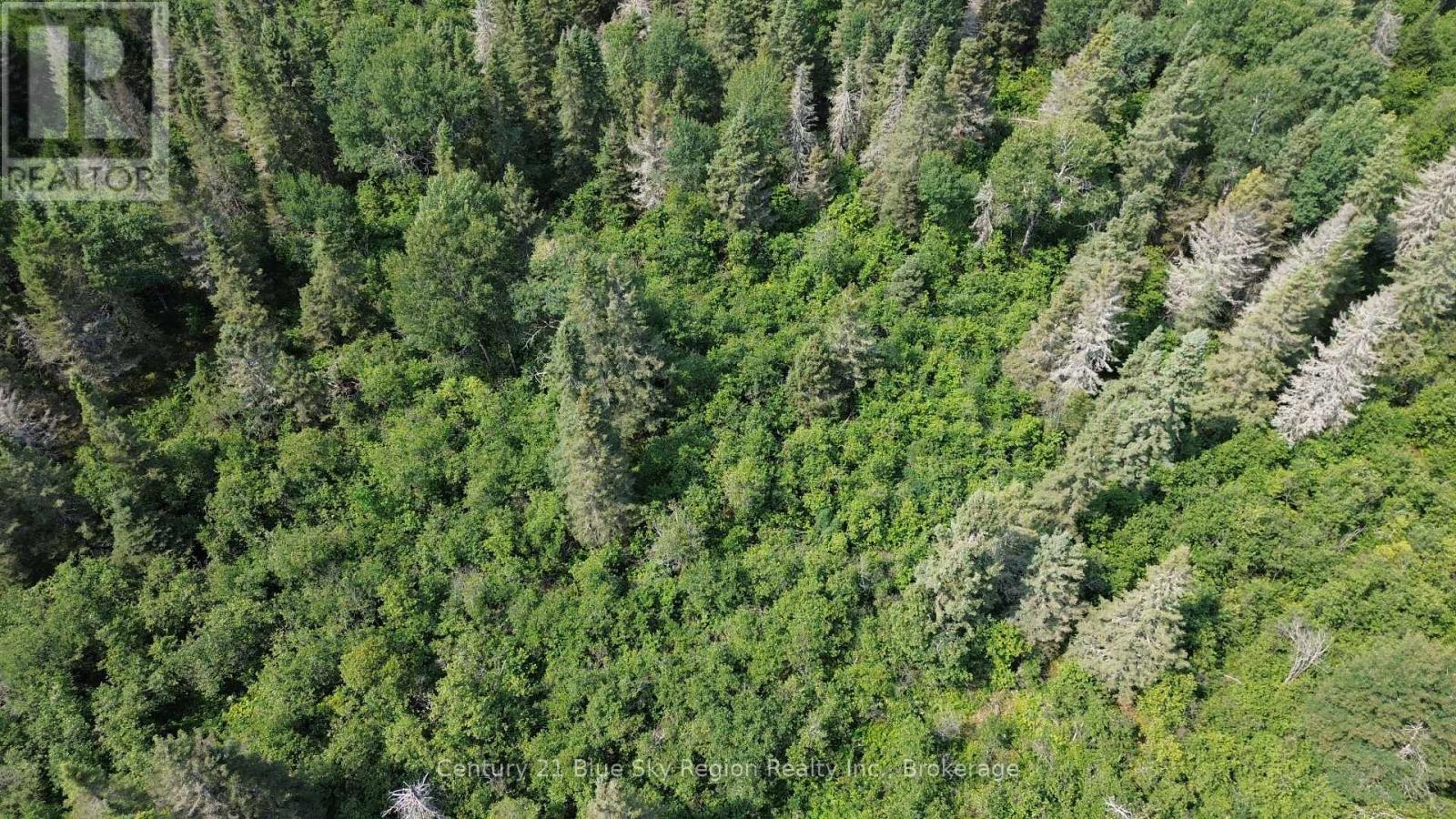 Pcl 15640 Crystal Falls Road, West Nipissing, Ontario  P0H 1L0 - Photo 6 - X13695212