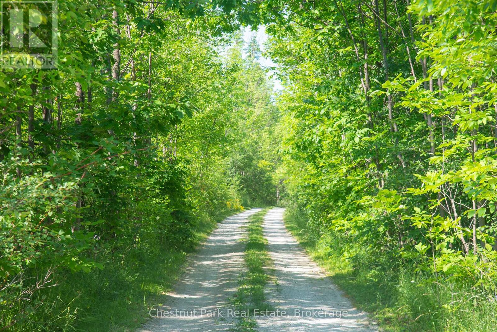 137 39th Side Road, Blue Mountains, Ontario  N0H 2P0 - Photo 2 - X13695088
