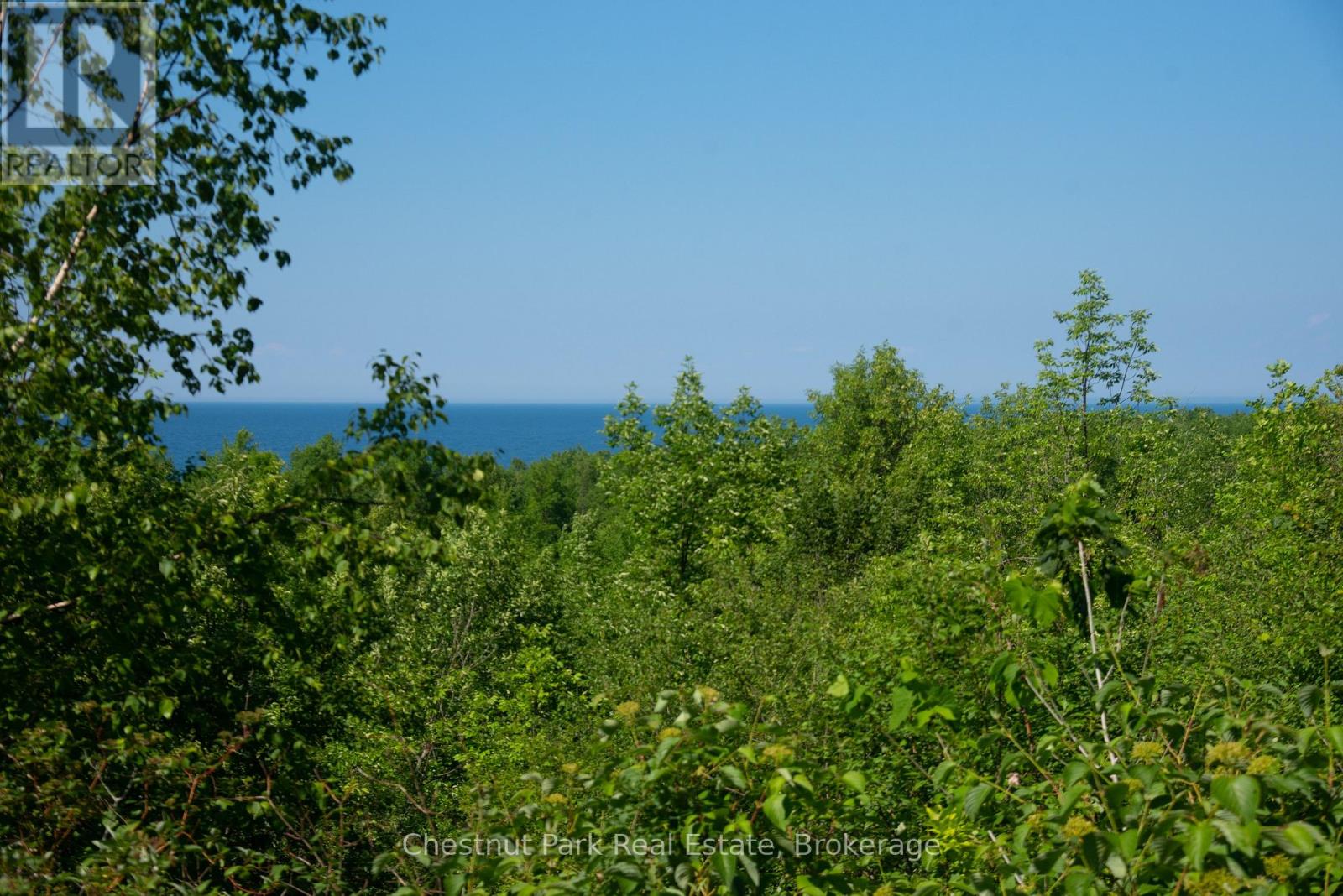 137 39th Side Road, Blue Mountains, Ontario  N0H 2P0 - Photo 22 - X13695088