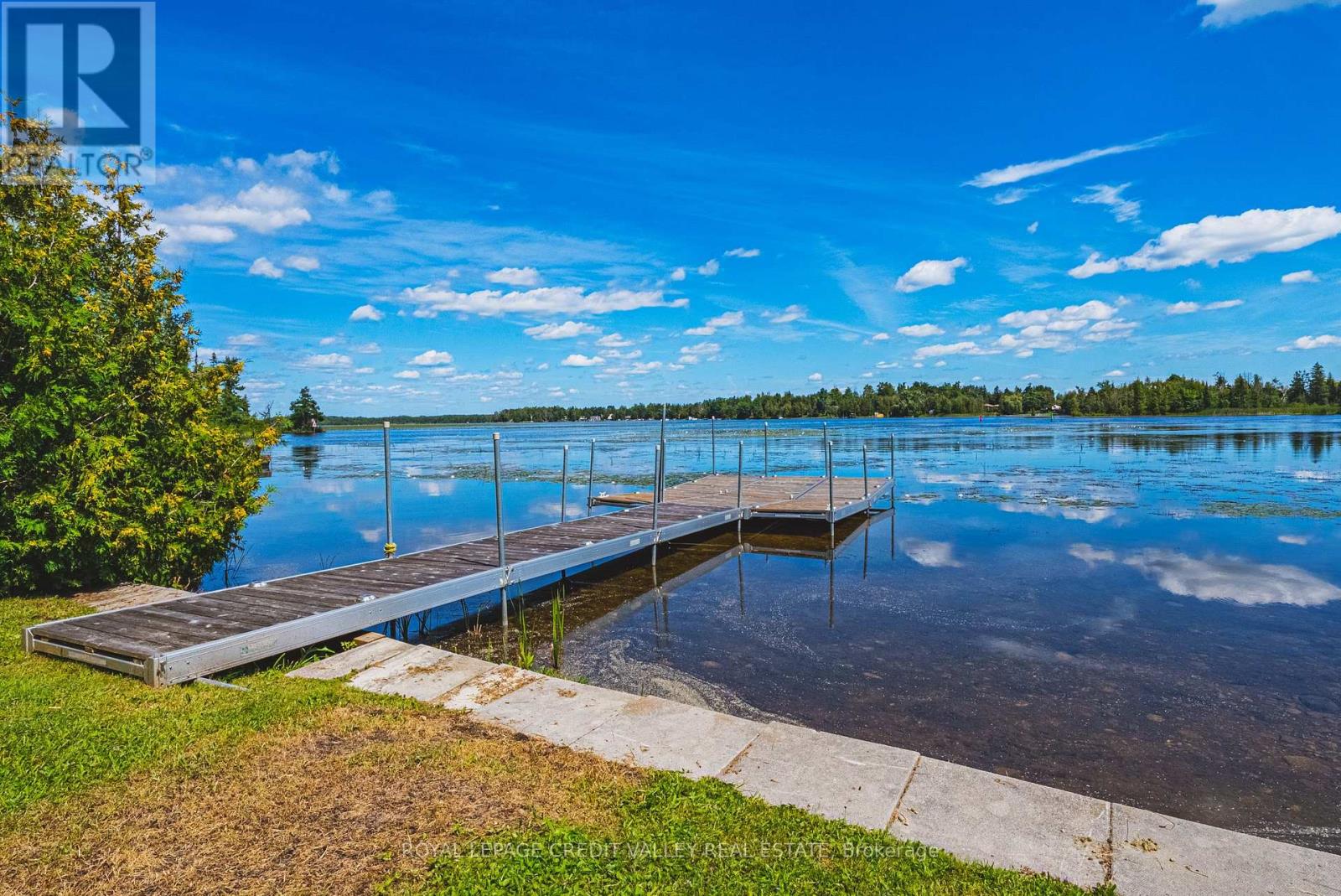 8 Ewen Street, Kawartha Lakes, Ontario  K0M 2B0 - Photo 47 - X13695050
