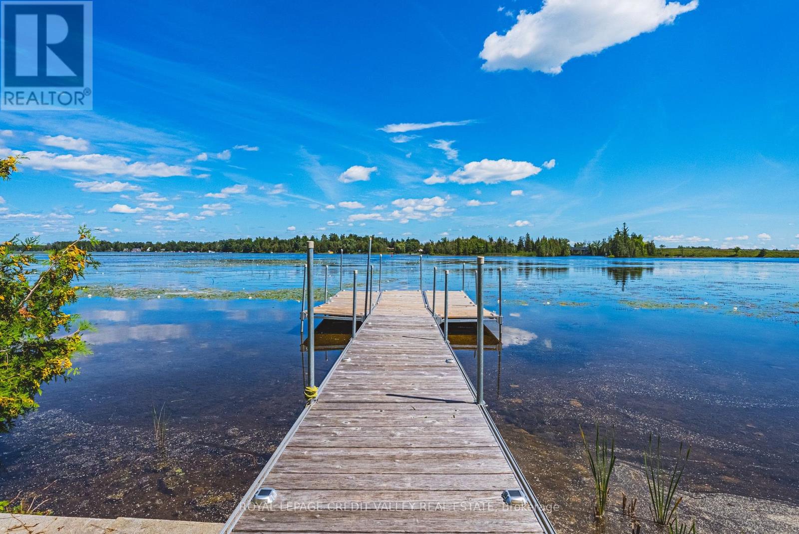 8 Ewen Street, Kawartha Lakes, Ontario  K0M 2B0 - Photo 48 - X13695050