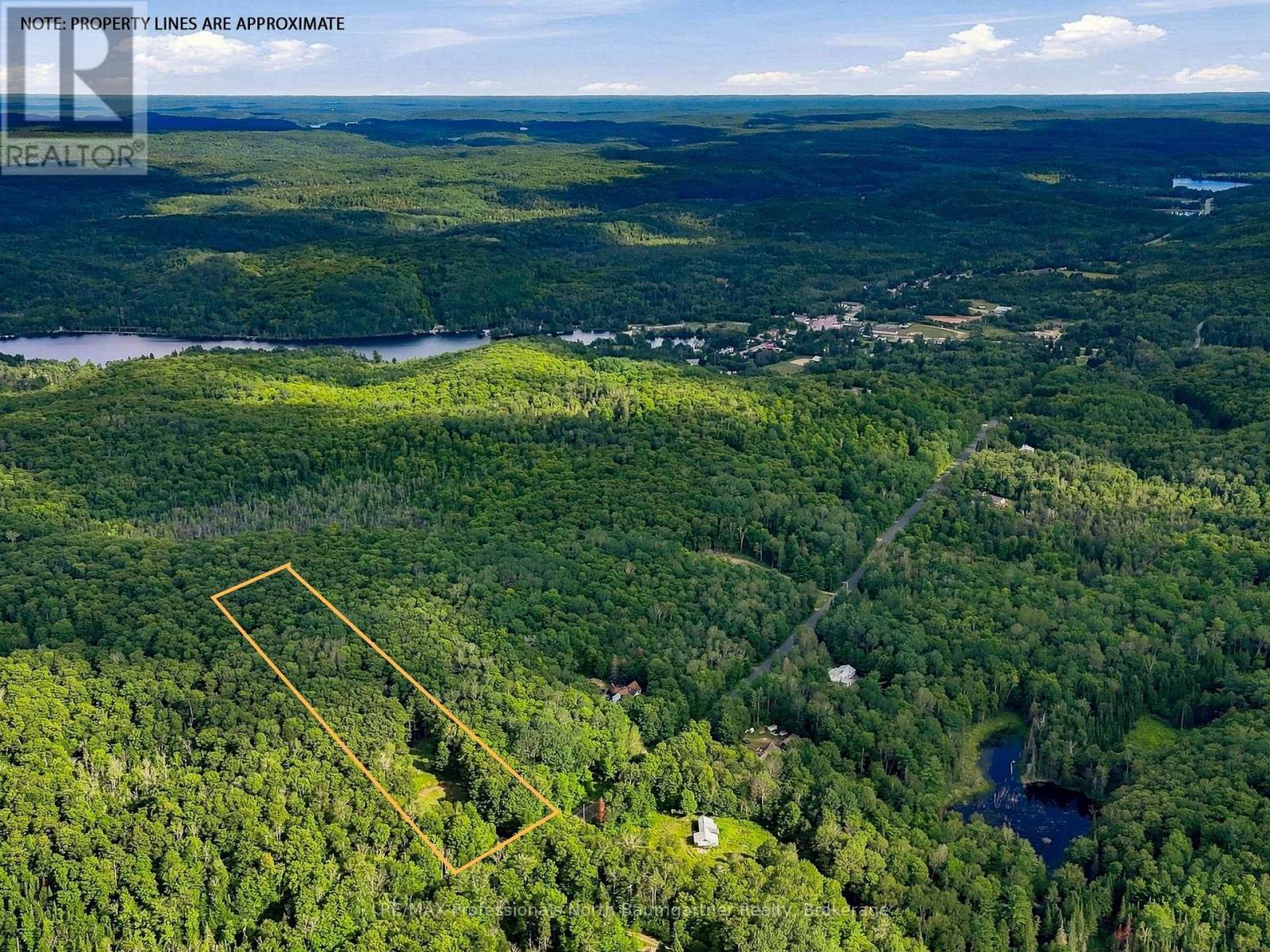1312 Clement Lake Road, Highlands East (Monmouth), Ontario  K0L 3C0 - Photo 11 - X13695398
