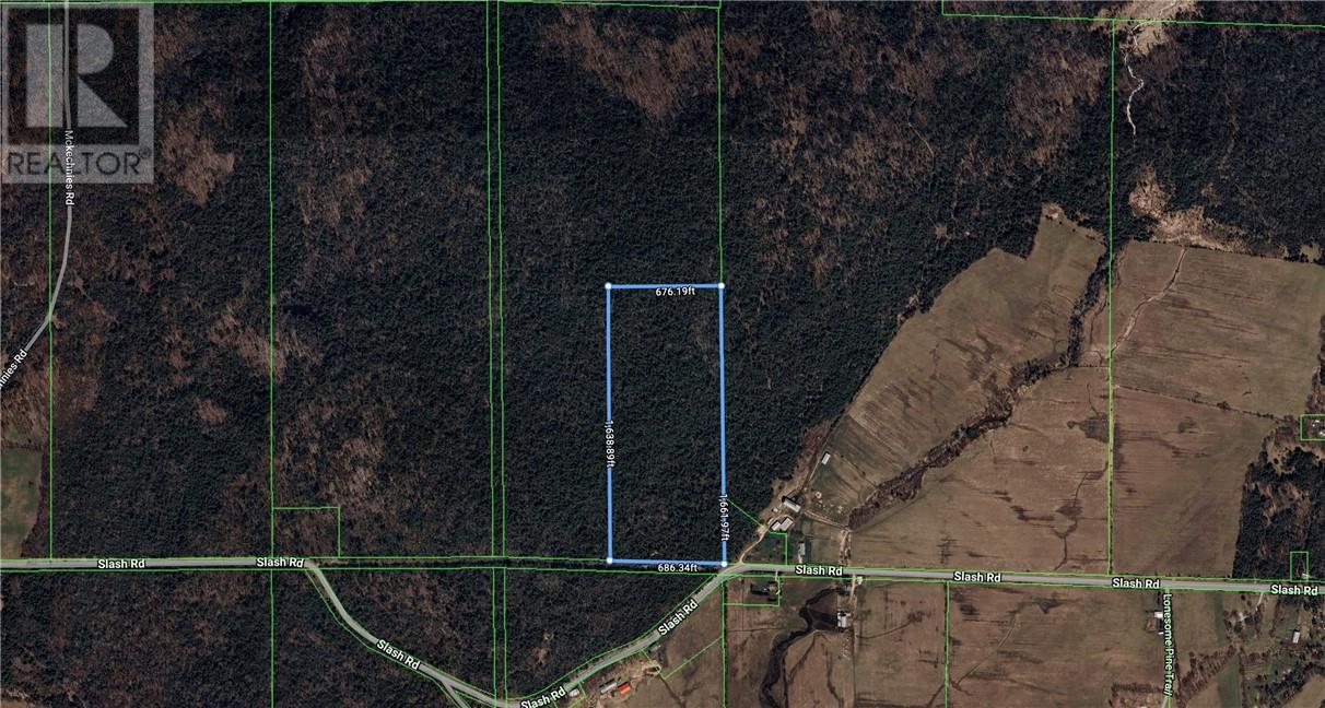Pt Lot 6 Con 14 Slash Rd, Manitowaning, Ontario P0P 2C0 - Photo 1 - 2129924