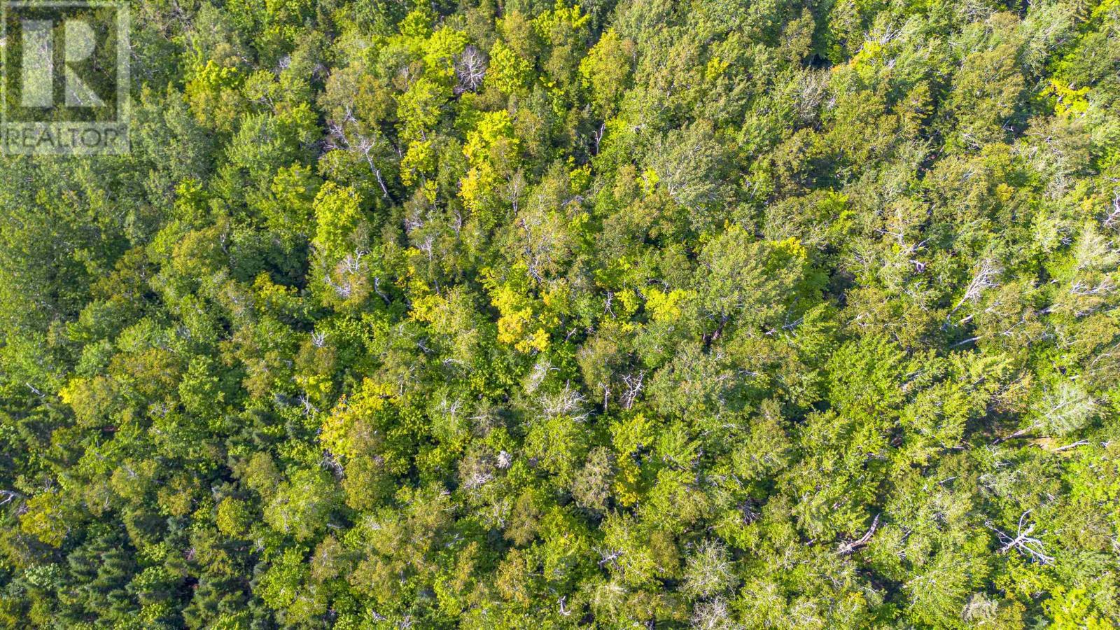 Acreage West Devon, West Devon, Prince Edward Island  C0B 1H0 - Photo 21 - 202621098