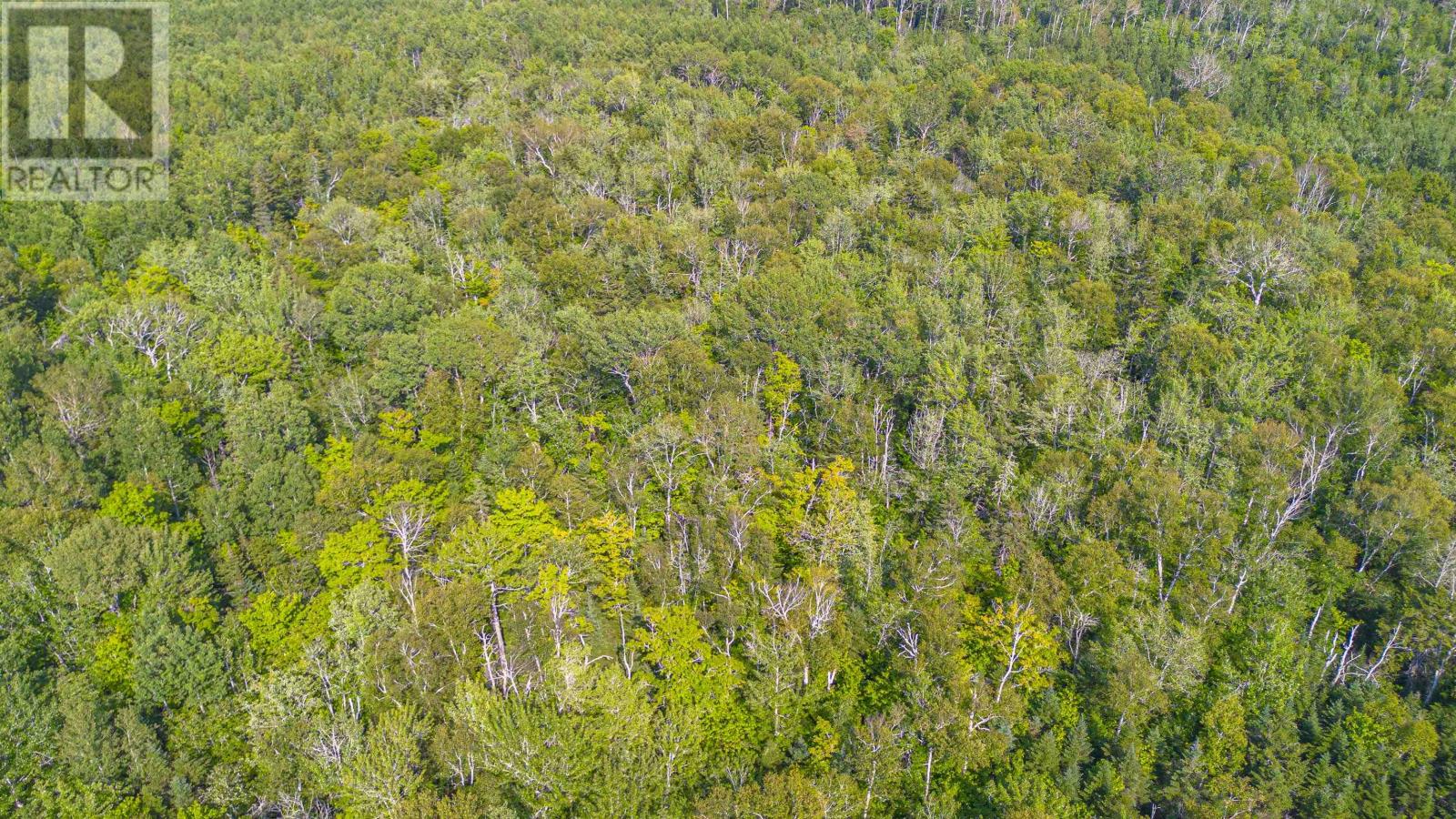 Acreage West Devon, West Devon, Prince Edward Island  C0B 1H0 - Photo 22 - 202621098
