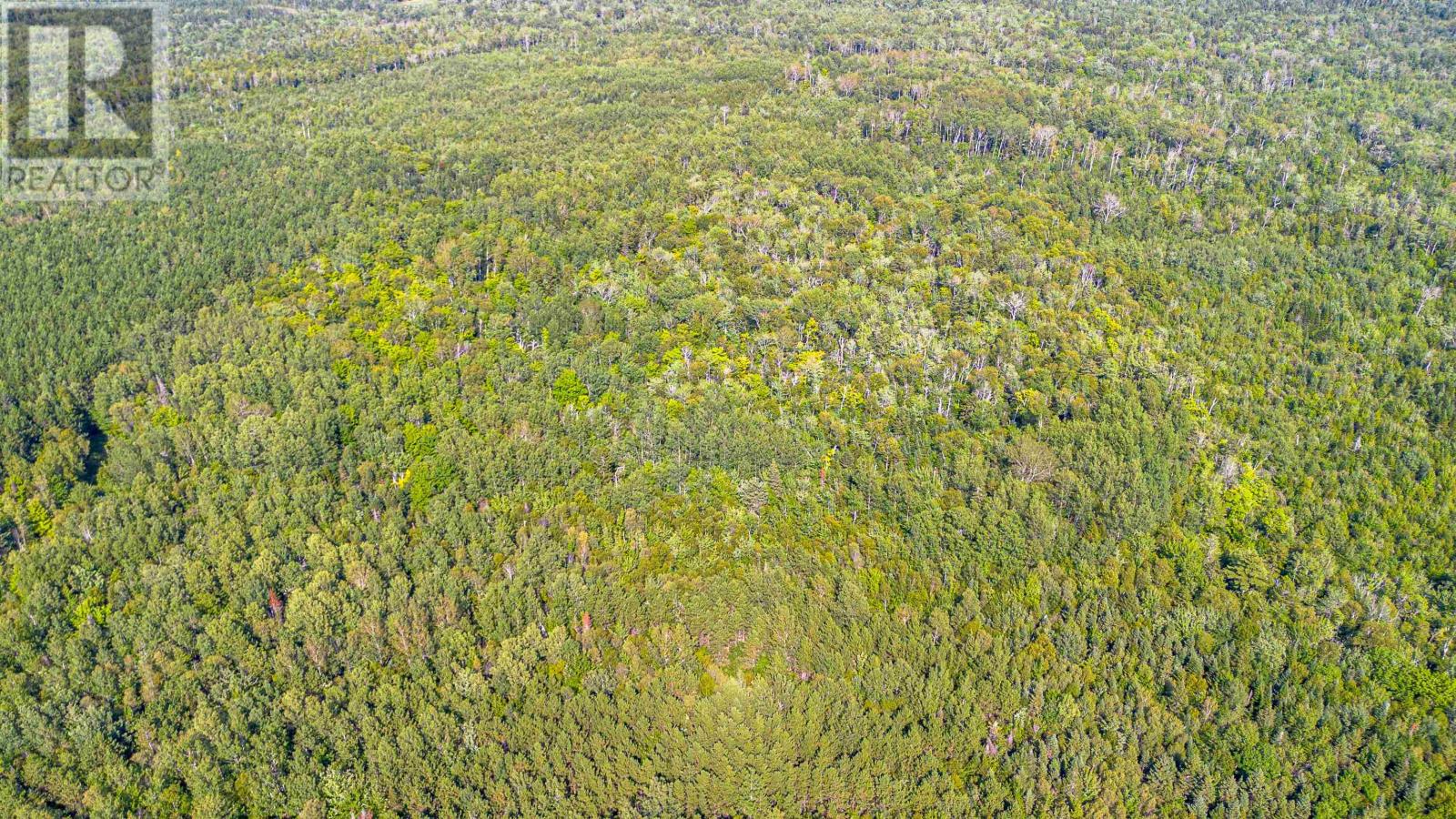 Acreage West Devon, West Devon, Prince Edward Island  C0B 1H0 - Photo 23 - 202621098